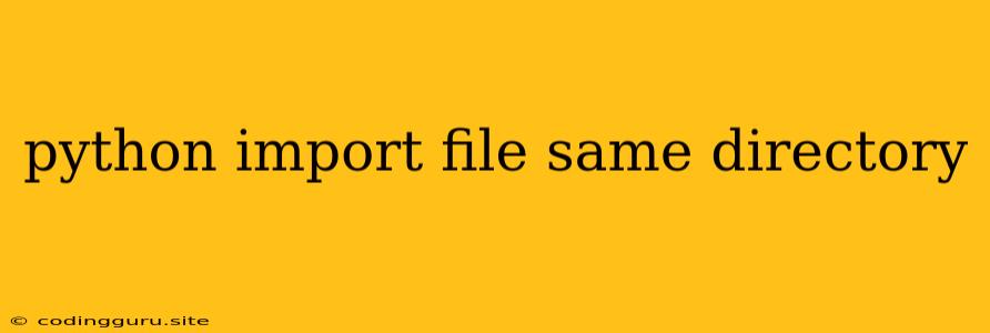 Python Import File Same Directory