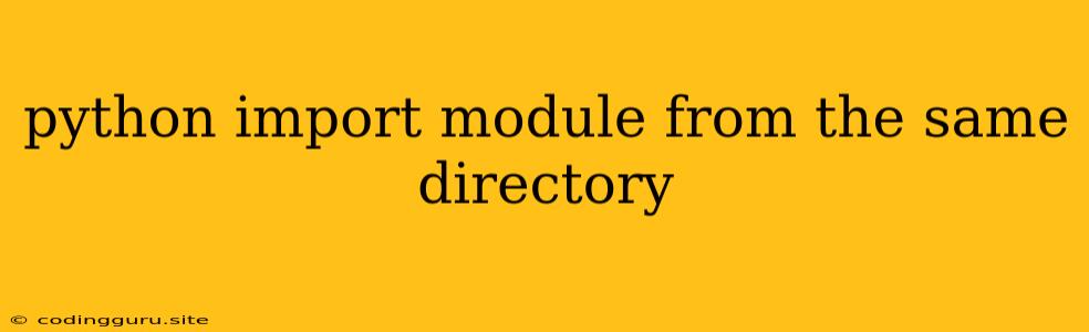 Python Import Module From The Same Directory