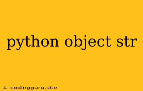 Python Object Str