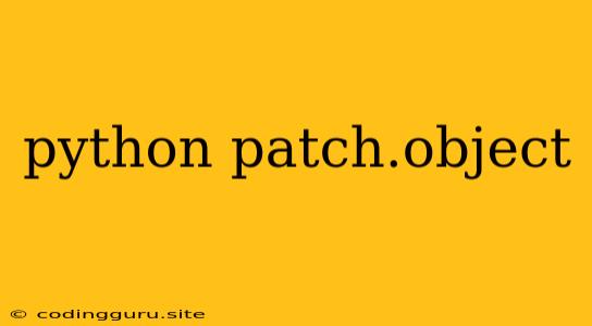 Python Patch.object