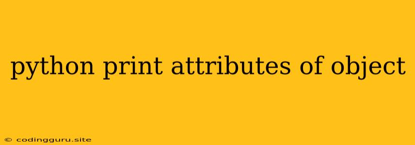 Python Print Attributes Of Object