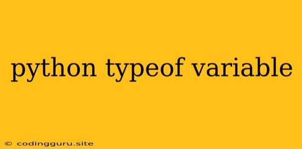 Python Typeof Variable