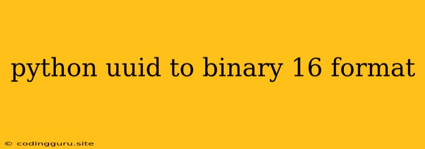 Python Uuid To Binary 16 Format