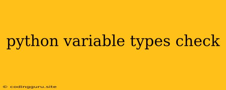 Python Variable Types Check