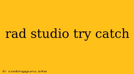 Rad Studio Try Catch