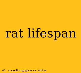 Rat Lifespan