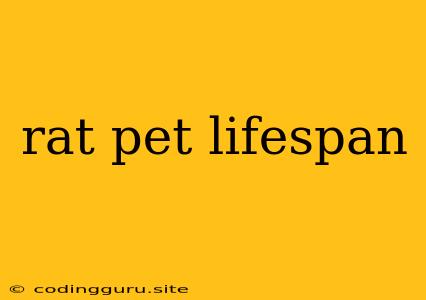 Rat Pet Lifespan