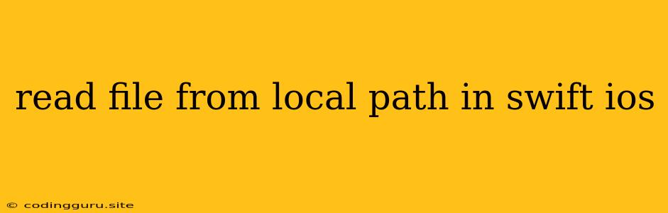 Read File From Local Path In Swift Ios