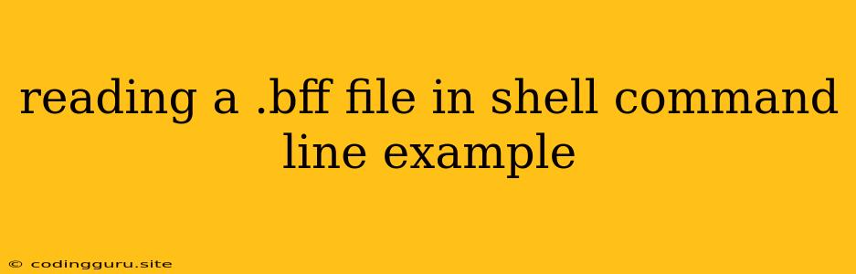 Reading A .bff File In Shell Command Line Example