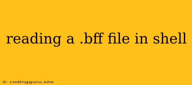 Reading A .bff File In Shell