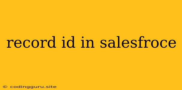 Record Id In Salesfroce