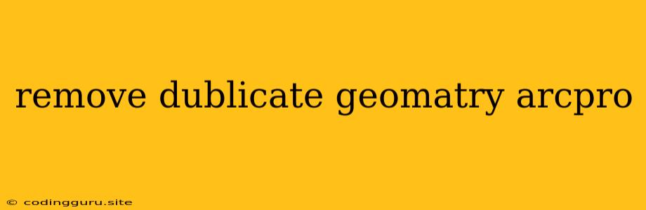 Remove Dublicate Geomatry Arcpro