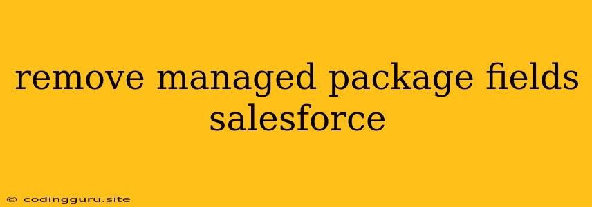 Remove Managed Package Fields Salesforce