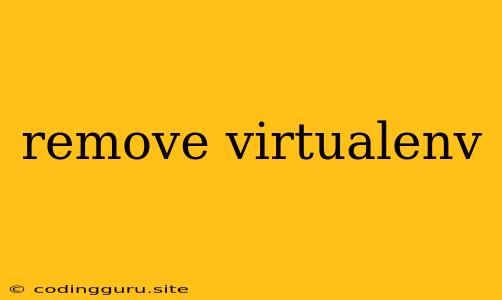 Remove Virtualenv