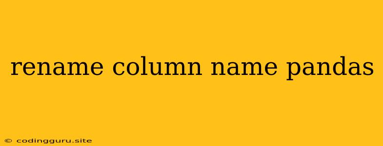 Rename Column Name Pandas