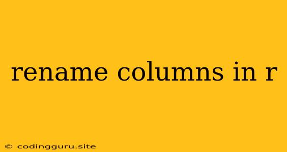 Rename Columns In R