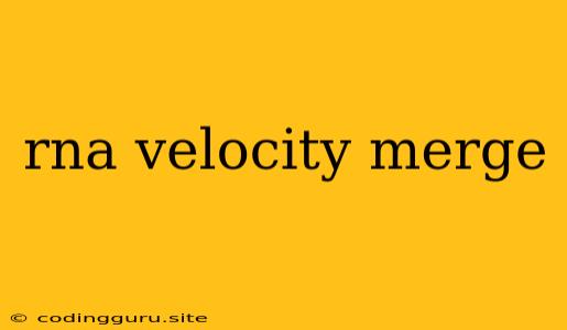 Rna Velocity Merge