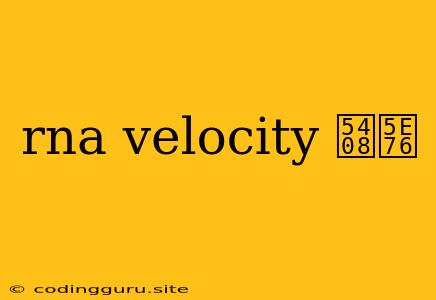 Rna Velocity 合并