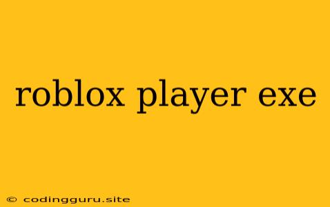 Roblox Player Exe