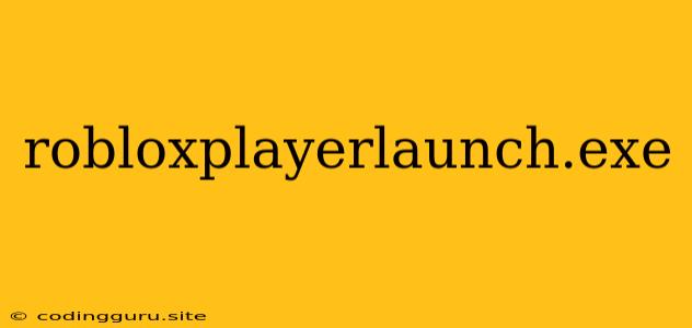 Robloxplayerlaunch.exe