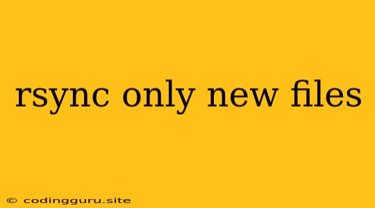 Rsync Only New Files