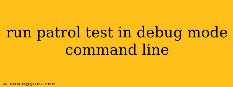 Run Patrol Test In Debug Mode Command Line