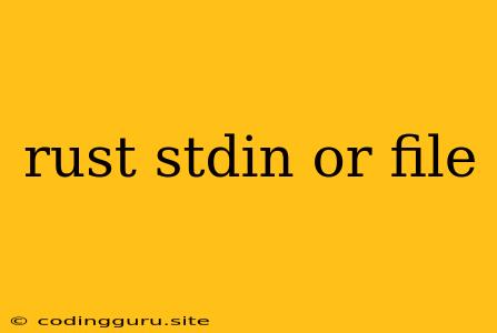 Rust Stdin Or File