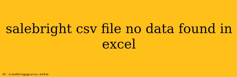 Salebright Csv File No Data Found In Excel