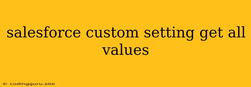 Salesforce Custom Setting Get All Values