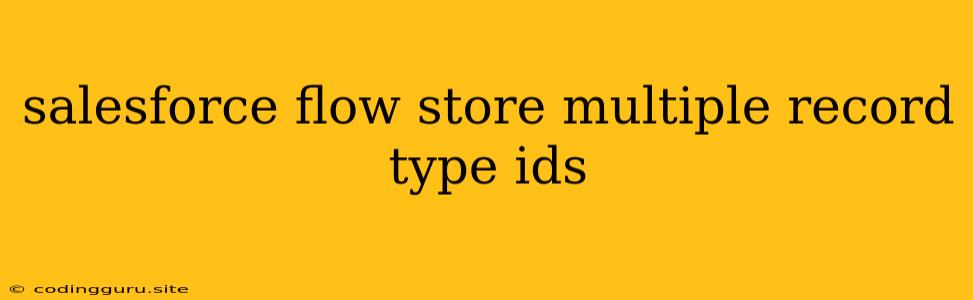 Salesforce Flow Store Multiple Record Type Ids