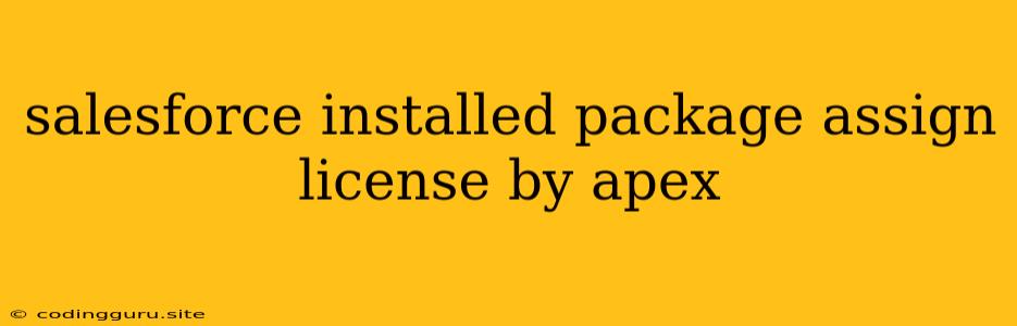 Salesforce Installed Package Assign License By Apex