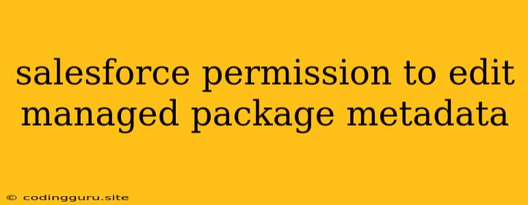 Salesforce Permission To Edit Managed Package Metadata