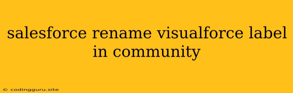 Salesforce Rename Visualforce Label In Community