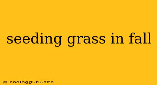 Seeding Grass In Fall