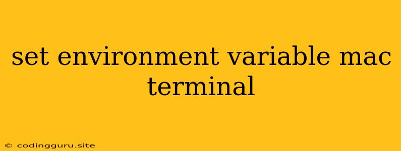 Set Environment Variable Mac Terminal