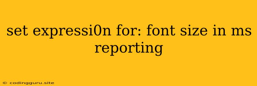 Set Expressi0n For: Font Size In Ms Reporting