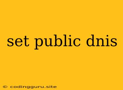 Set Public Dnis