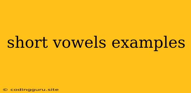 Short Vowels Examples