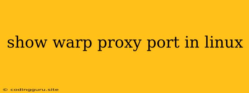 Show Warp Proxy Port In Linux