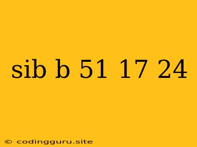 Sib B 51 17 24