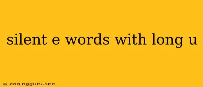 Silent E Words With Long U