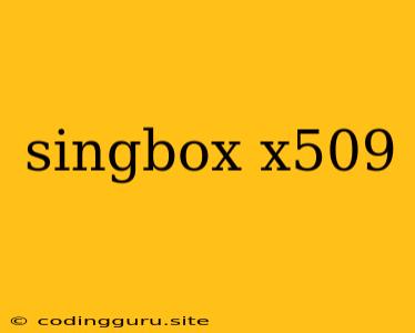 Singbox X509