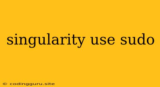 Singularity Use Sudo