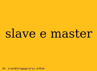 Slave E Master