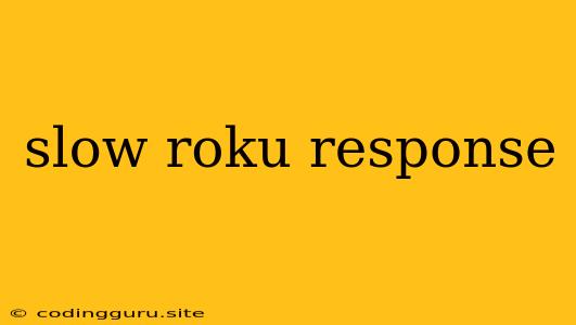 Slow Roku Response