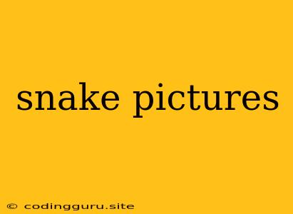 Snake Pictures