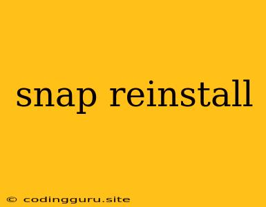 Snap Reinstall