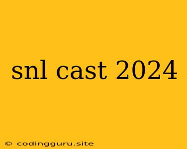 Snl Cast 2024