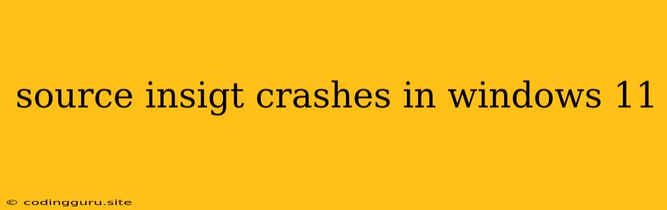 Source Insigt Crashes In Windows 11