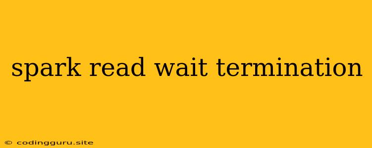 Spark Read Wait Termination